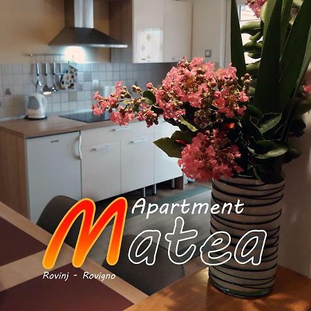 Apartment Matea Ровин Екстериор снимка