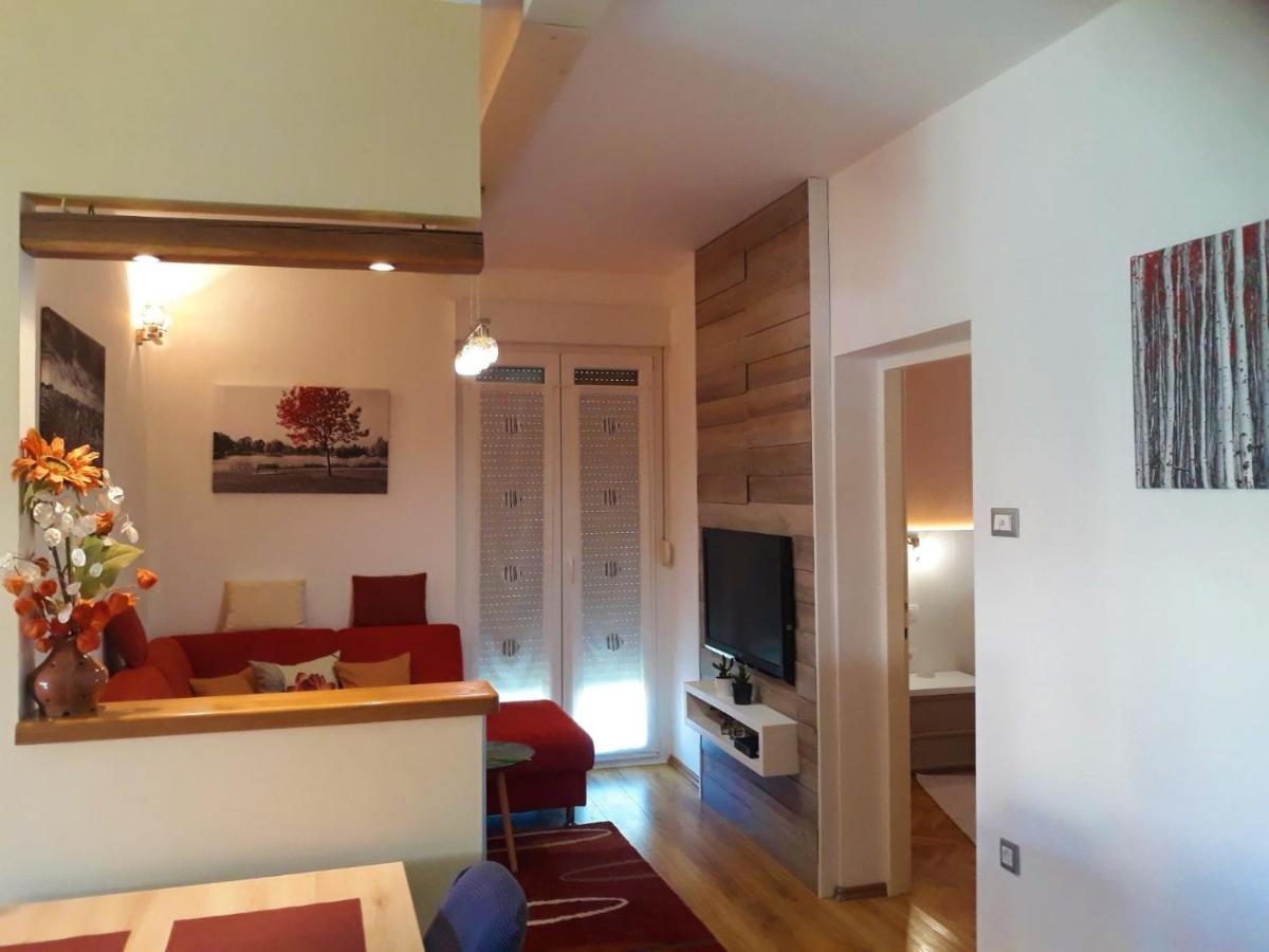 Apartment Matea Ровин Екстериор снимка